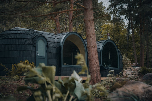 A couple of small houses in the woods