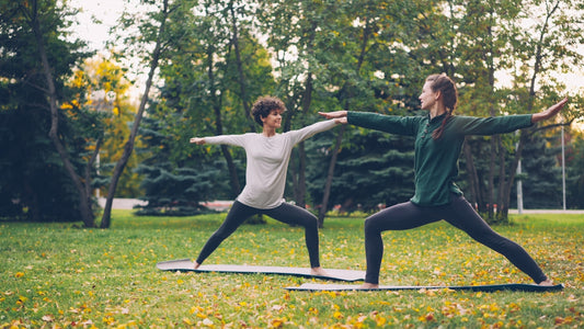 Two women practicing yoga in a park.