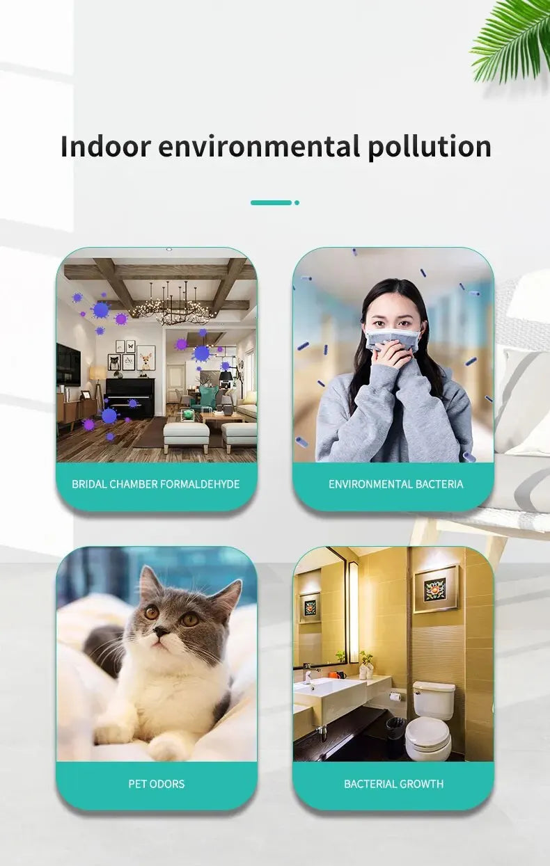Four images showing indoor environmental pollution issues with text labels.