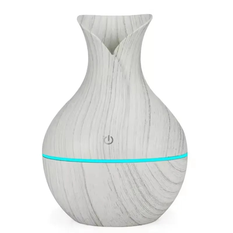 Mini USB Essential Oil Diffuser & Humidifier